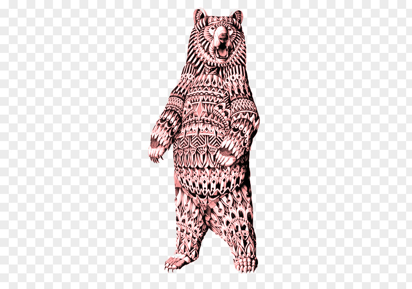 Bear Standing Grizzly Koala T-shirt Paper PNG