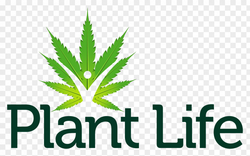 Cannabis Life Reimagined: Discovering Your New Possibilities Logo Hemp Font PNG