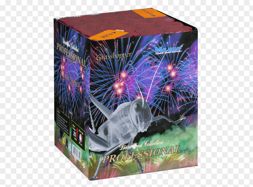 Fireworks Giezen Tweewielers Hoogkerk Cake WECO Pyrotechnische Fabrik GmbH Quartel Vuurwerk.nl PNG