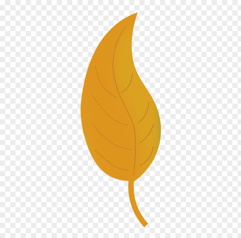 Leaf Autumn Color Yellow Drawing PNG