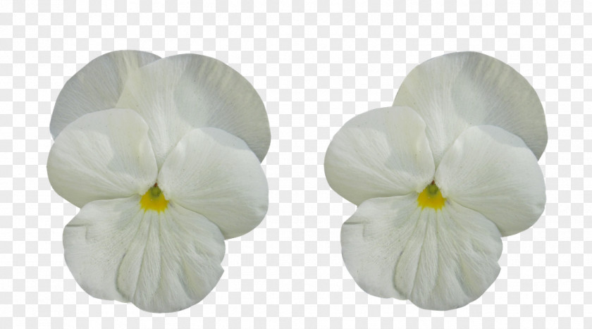 Pansy Cut Flowers Violet Clip Art PNG