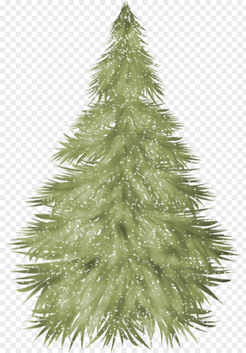 Tree Spruce Christmas Fir Ornament PNG