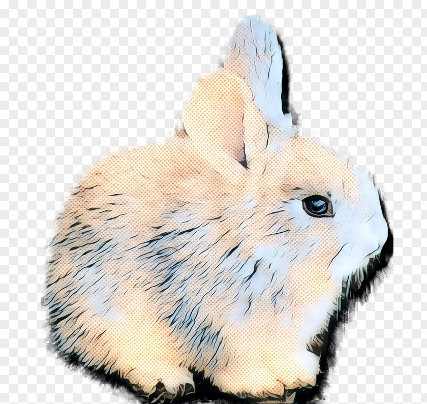 Domestic Rabbit Hare Fur Whiskers PNG