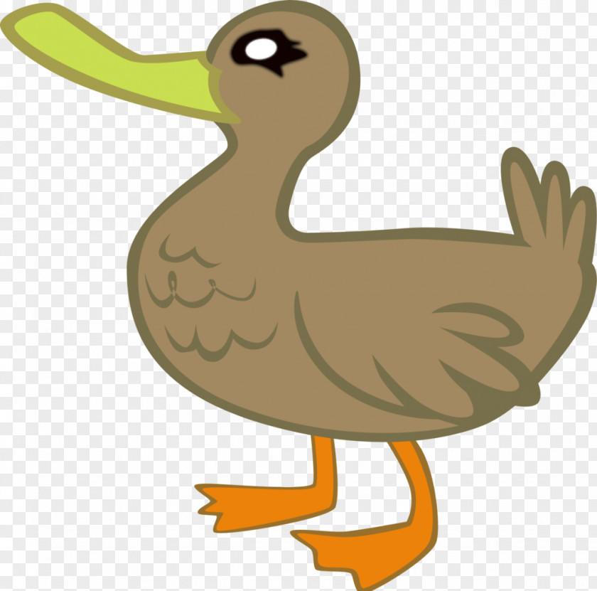 Duck Clip Art Vector Graphics Image Illustration PNG
