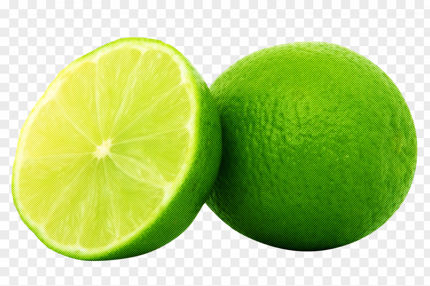 Lemonlime Plant Persian Lime Key Citrus Green PNG