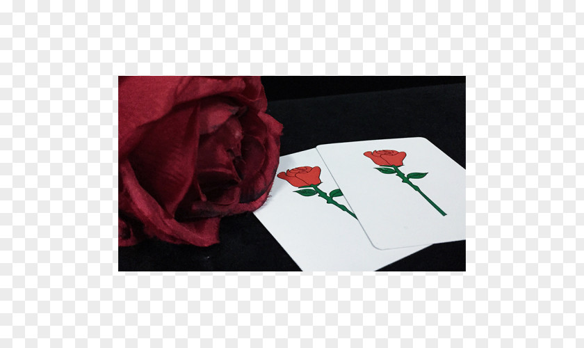 Magic Eye Garden Roses Place Mats Rectangle PNG