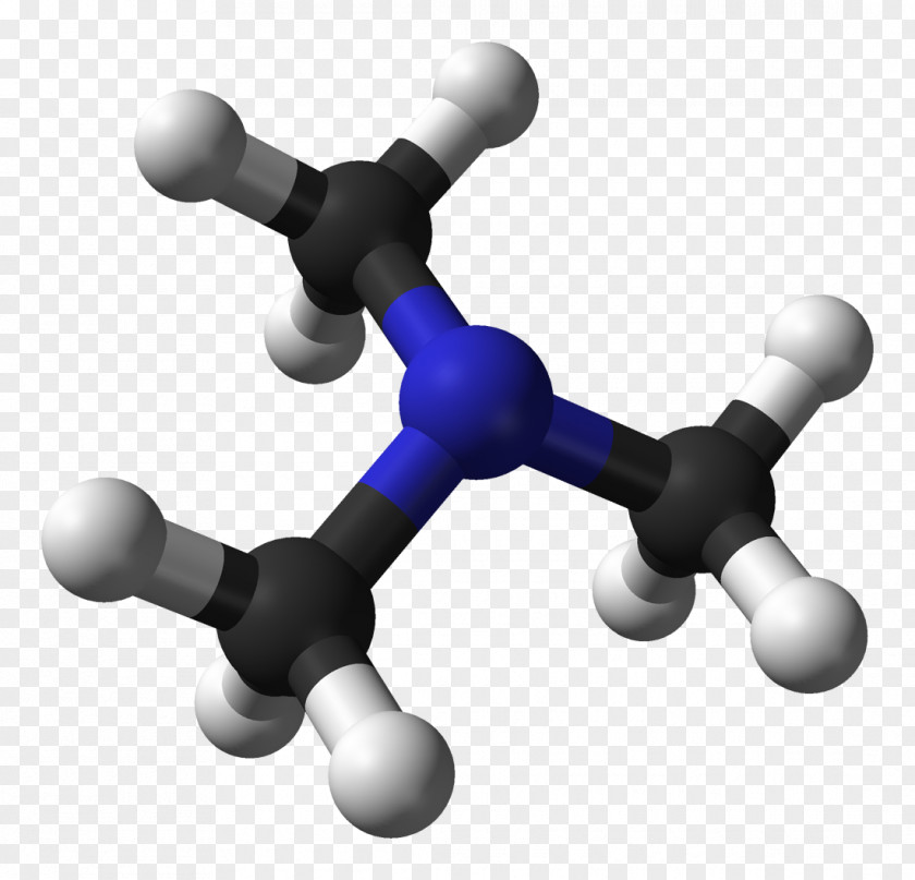 Microwave Trimethylamine Odor Cadaverine PNG