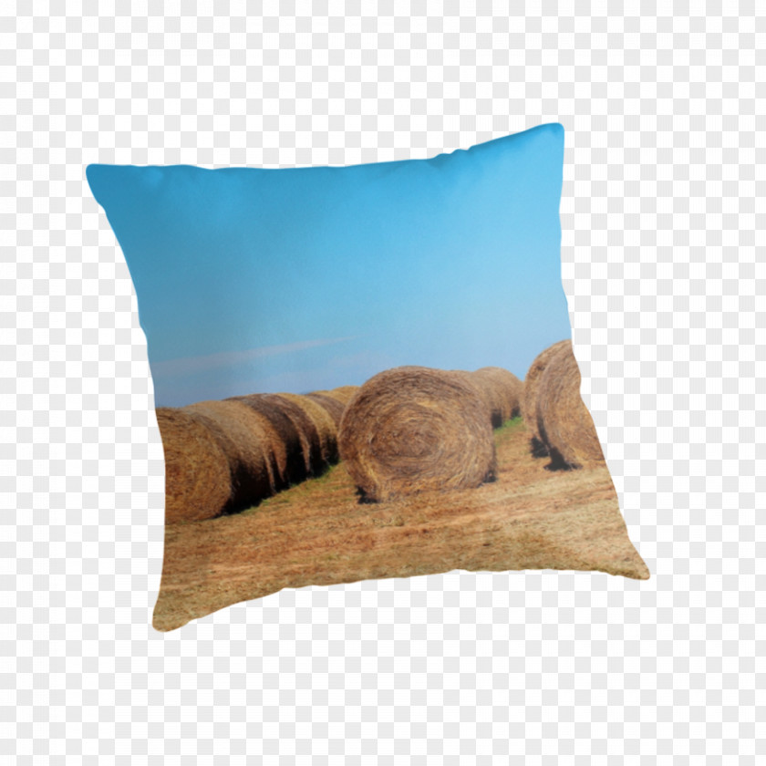 Pillow Throw Pillows Cushion PNG