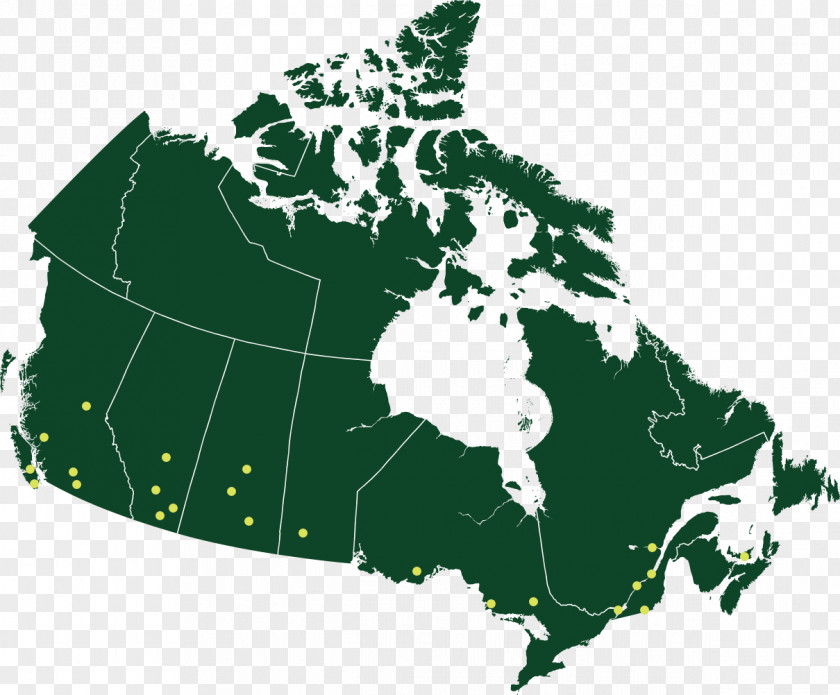 Regina Map Canada Vector Graphics Royalty-free Stock Illustration PNG