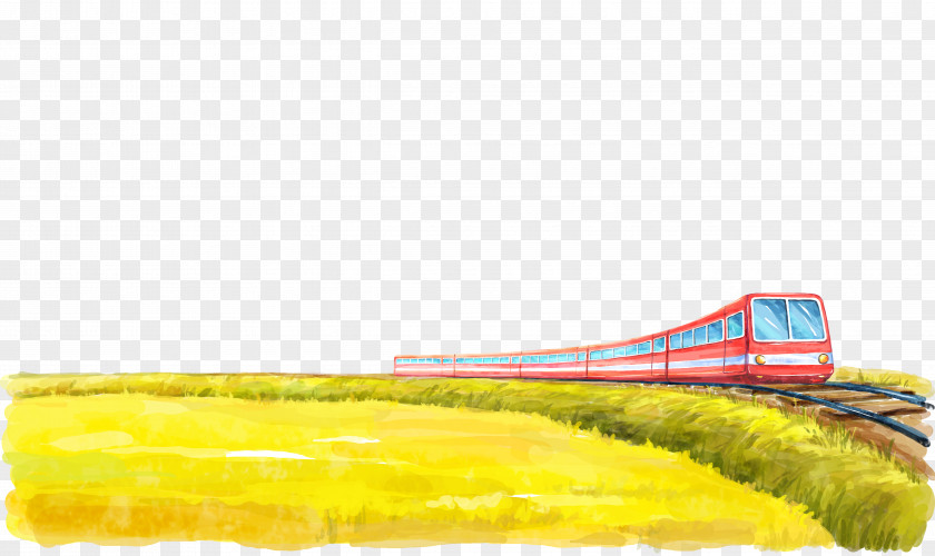 Rice Paddies Train Rail Transport Track Illustration PNG