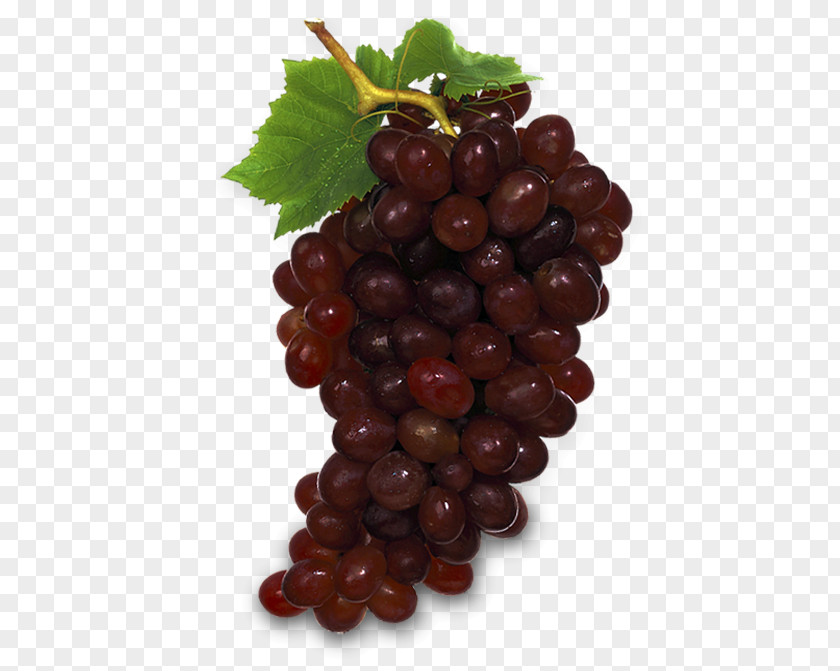 Tropical Fruit Grape Sultana Food Berry PNG