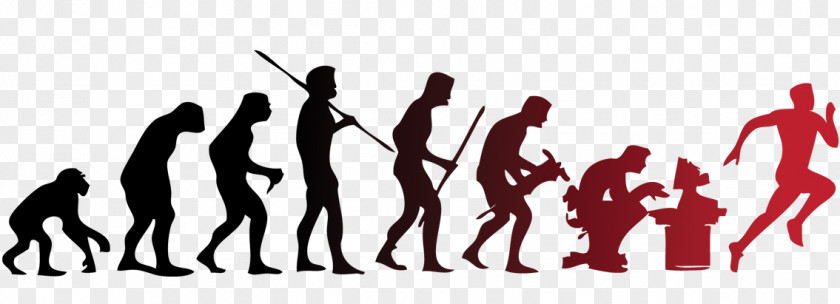 Ape To Human Evolution Evolutionary Psychology PNG