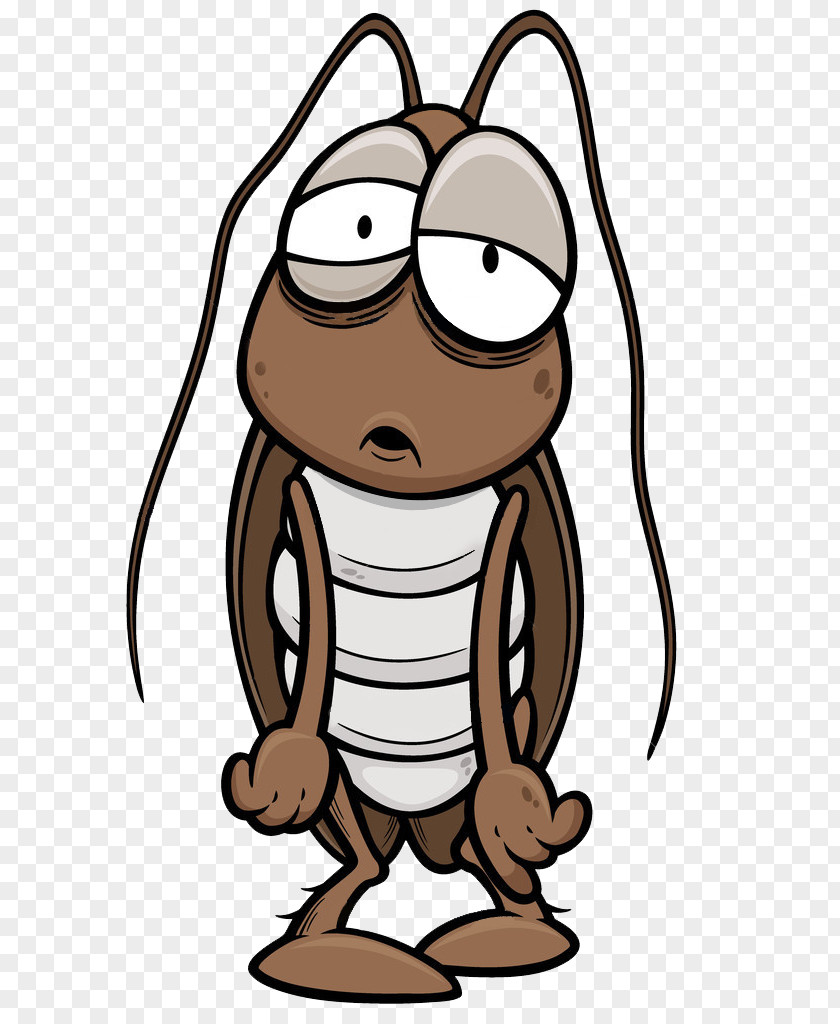 Dizzy Cockroach Cartoon Insect Illustration PNG