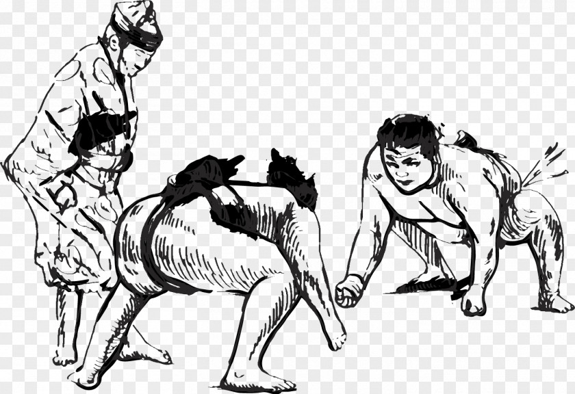 Sumo Material Dog Wrestling Illustration PNG