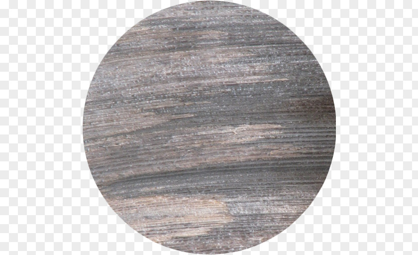 Wood Circle PNG