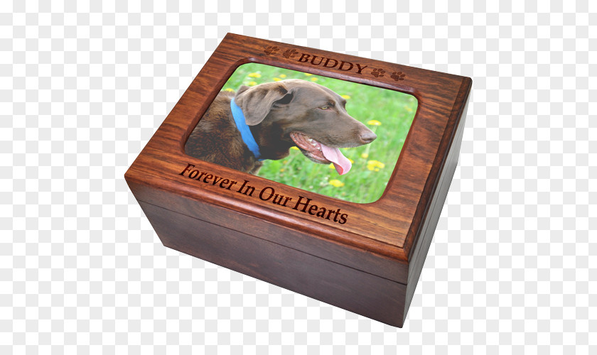 Wooden Box Cat Boxer Urn Pet PNG