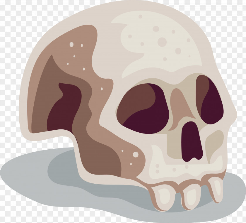 Cartoon Skull PNG