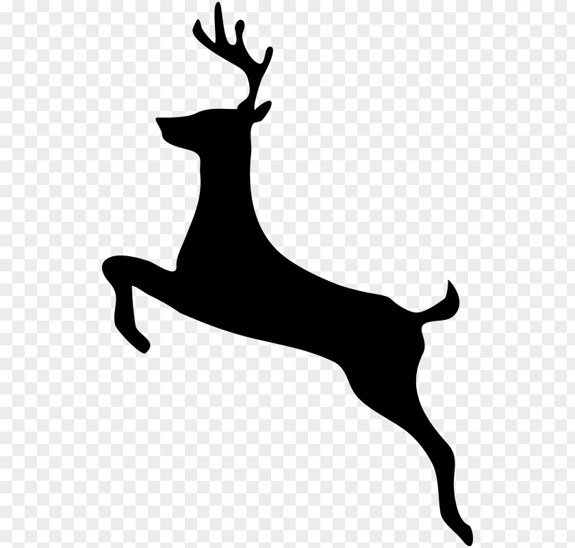 Deer White-tailed Clip Art PNG