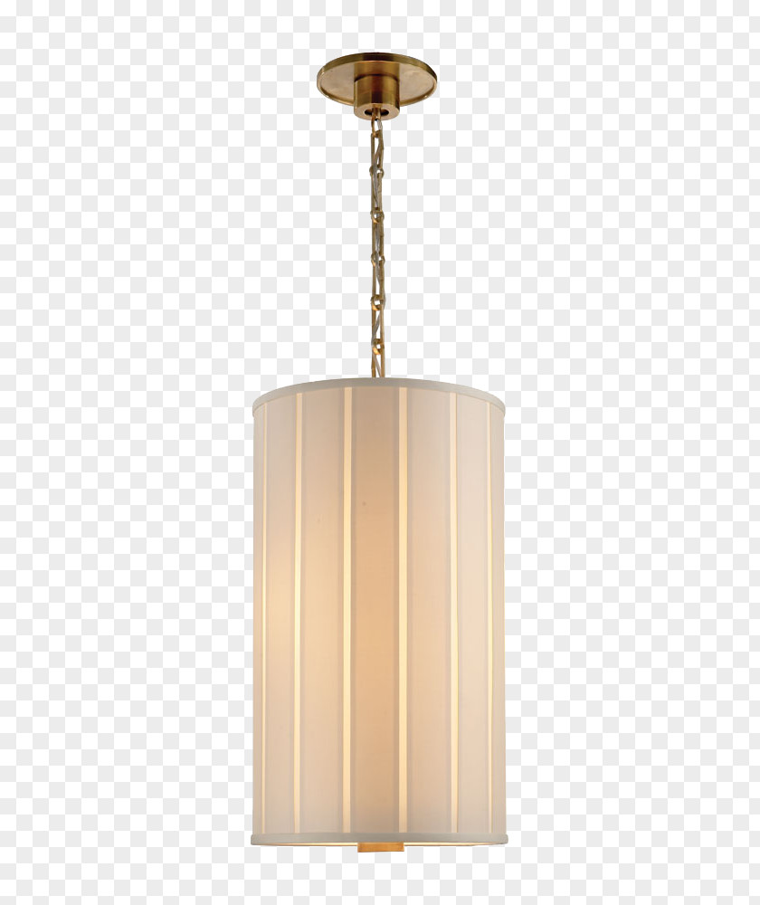 Gorgeous 3d Decorated Ceiling Light Fixture PNG