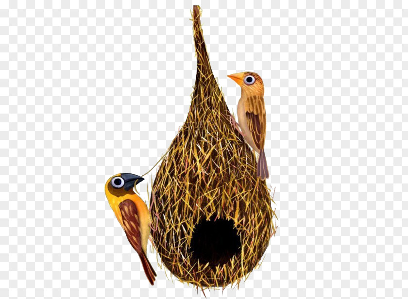 In The Small Nest Edible Birds Swallow Bird PNG