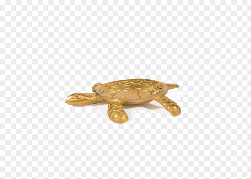 Jewelry Accessories Sea Turtle Jewellery Kohl's Pond Turtles PNG