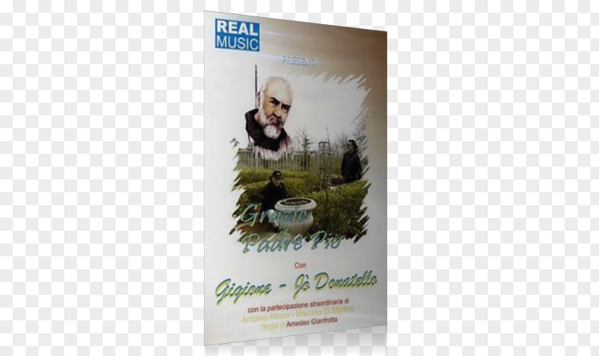 Padre Pio Poster Tree PNG