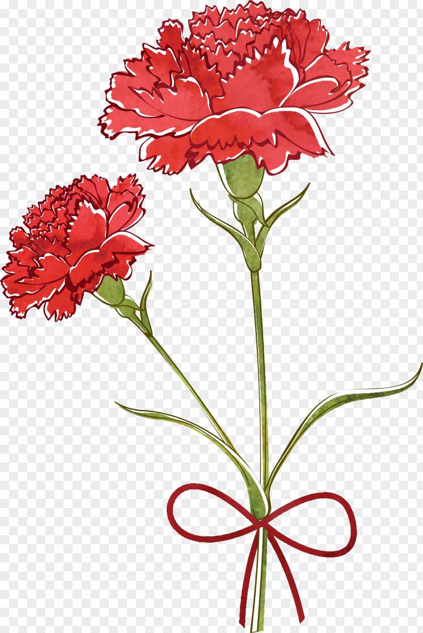 CARNATION Carnation Flower Drawing Watercolor Painting PNG