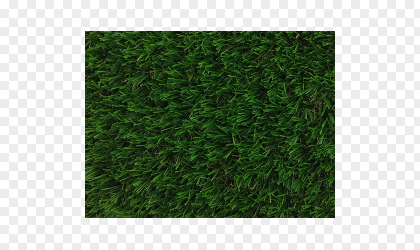 Carpet Artificial Turf Lawn Garden Patio PNG