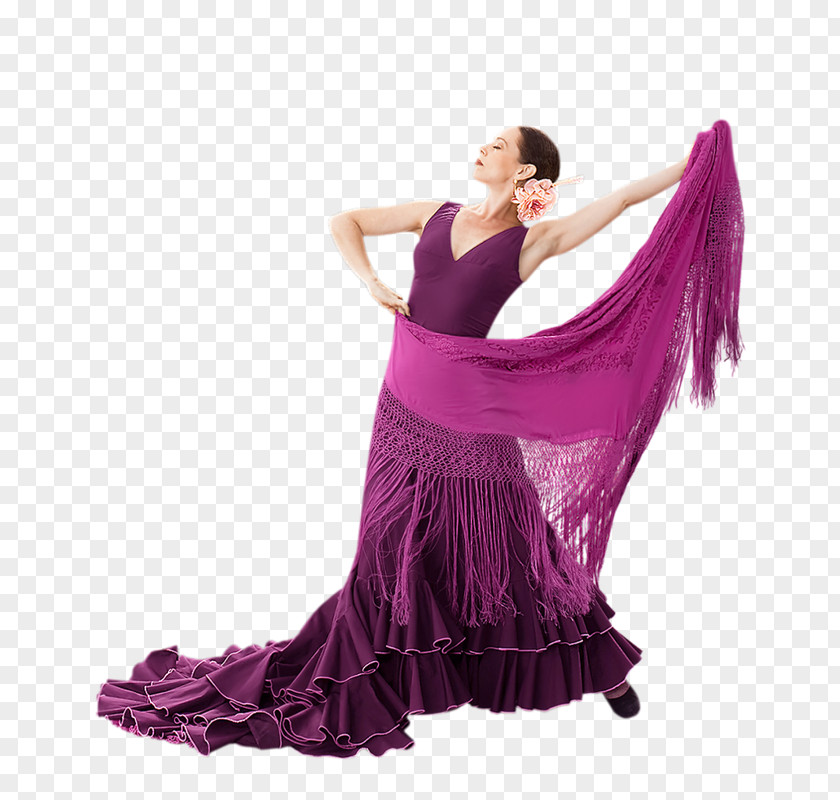 Dance Flamenco Silhouette PNG