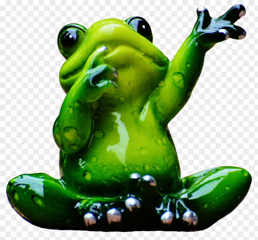 Frog Car Mirror PNG