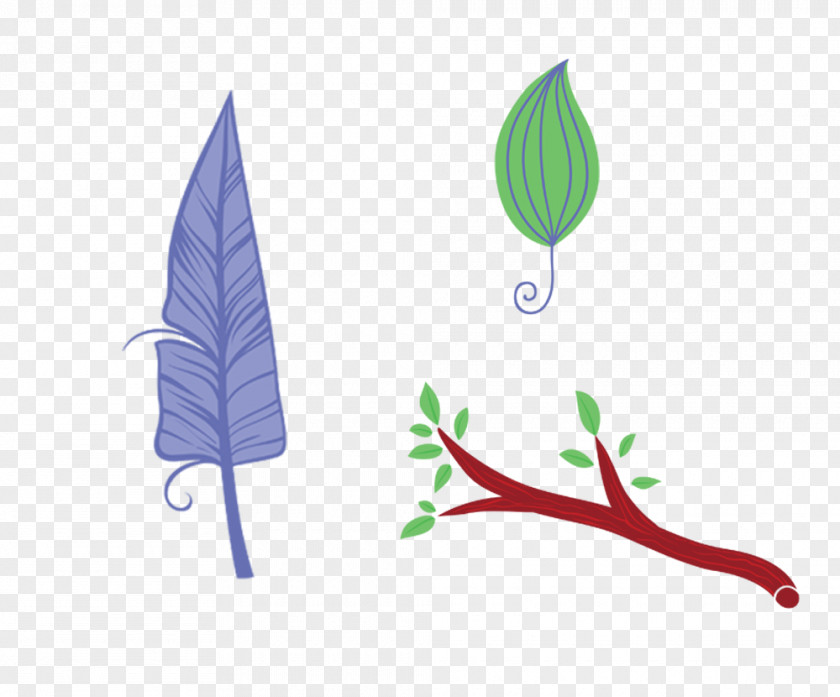Leaves, Twigs Feathers Bird Feather Leaf PNG