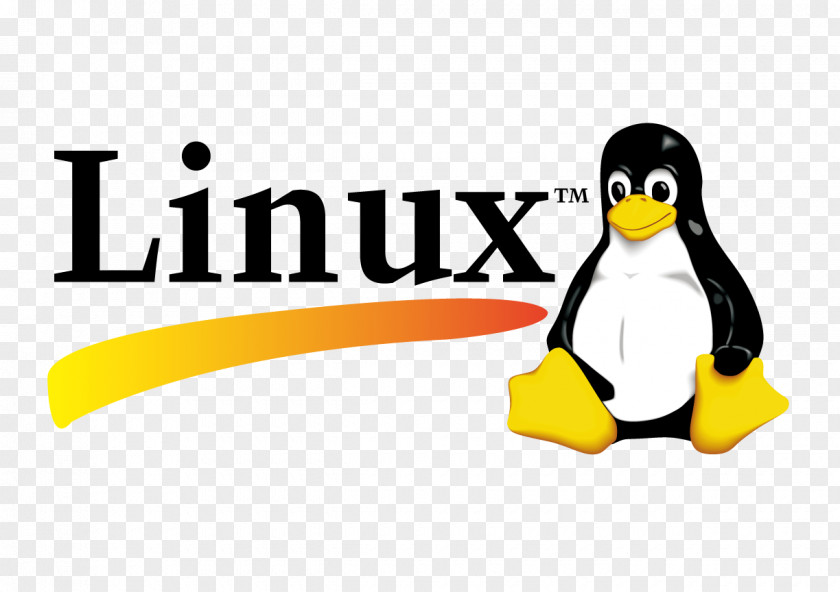 Linux Logo Vector Installation Open-source Model Operating System Unix PNG