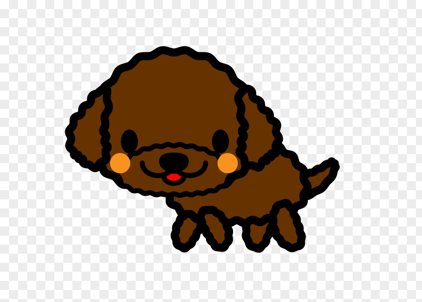 Toy Poodle Puppy Dog Breed Miniature PNG