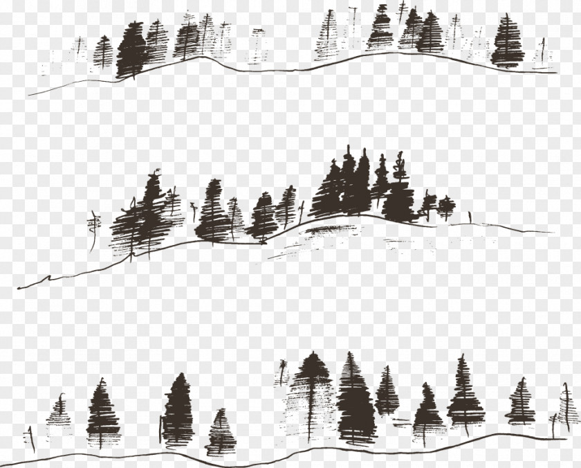 Vector Lines Mountain Woods Fir Engraving Drawing Contour PNG