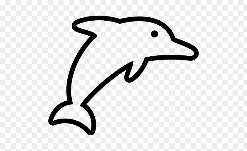 Dolphin Marine Mammal Aquatic Animal Sea Life Centres Clip Art PNG