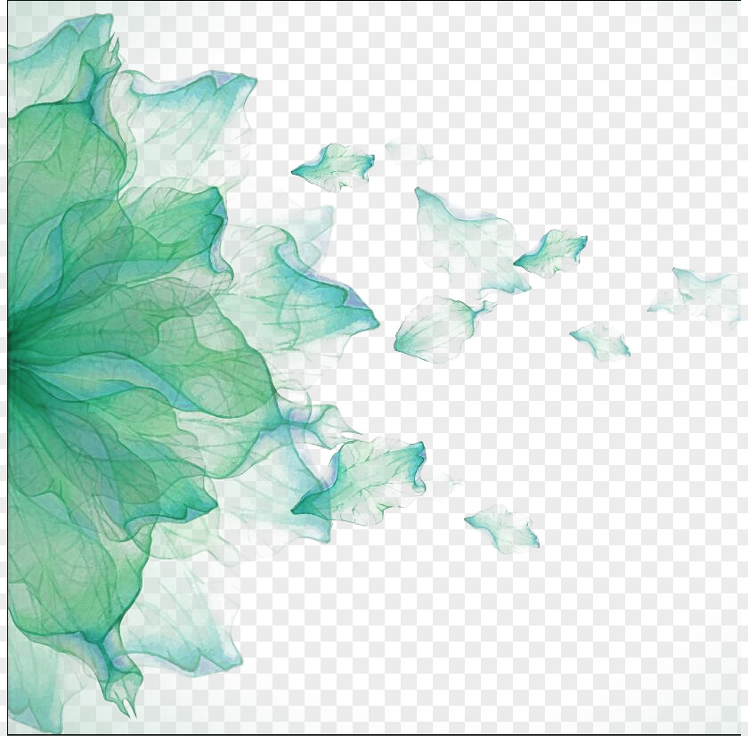 Leaf Green Laver Watercolor Painting Drawing Flower PNG