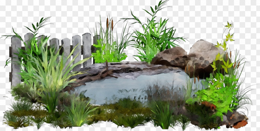 Nature Vegetation Pond Grass Natural Landscape PNG