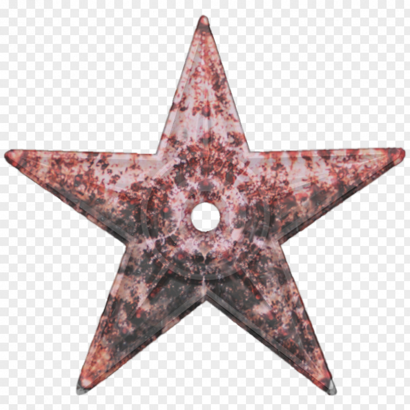 Starfish Light Barnstar Metal PNG