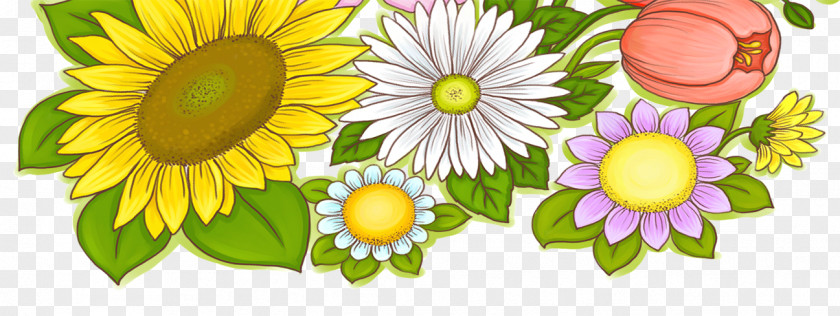 Sunflower Common Greeting Card PNG