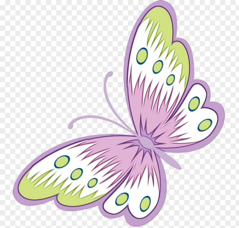 Wildflower Moths And Butterflies Butterfly M / 0d Design Cartoon Text PNG