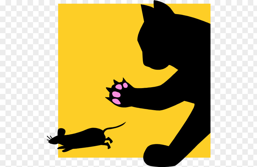 Cat Whiskers Behavior Mouse Animal PNG