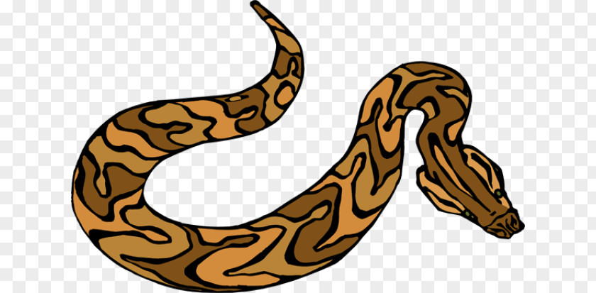 Constrictor Vector Snakes Clip Art Image Green Anaconda PNG