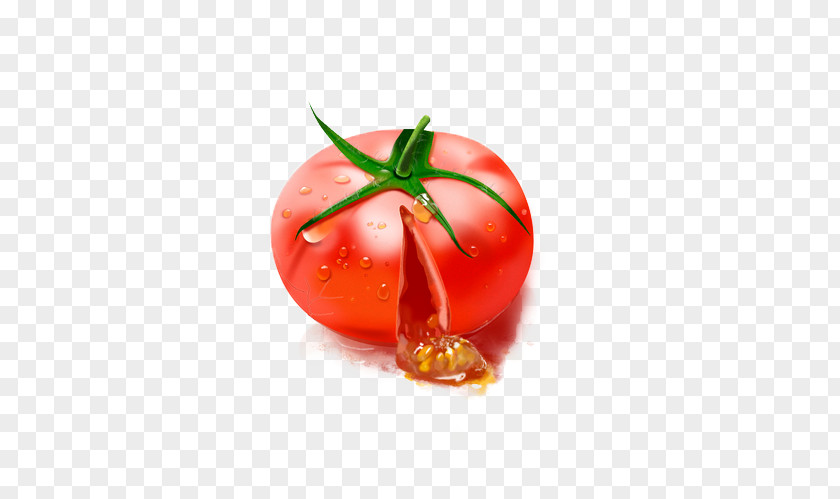 Tomato Plum Download PNG