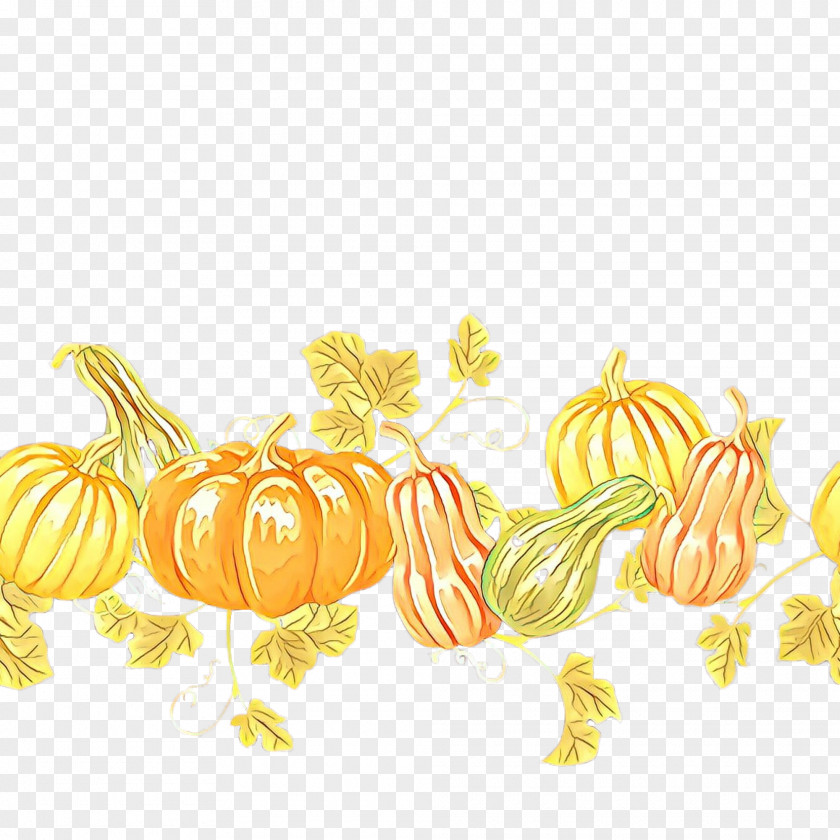 Winter Squash Fruit Pumpkin PNG