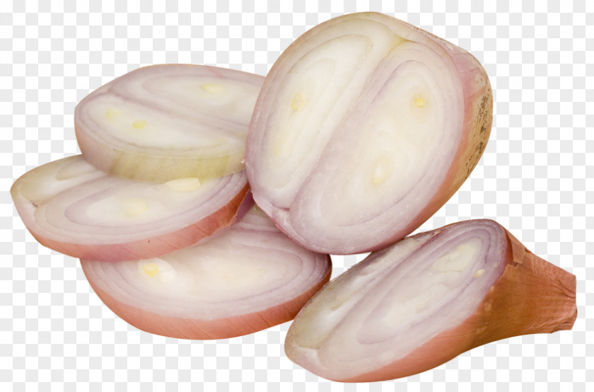Avocado Slice Yellow Onion Shallot Vegetable PNG