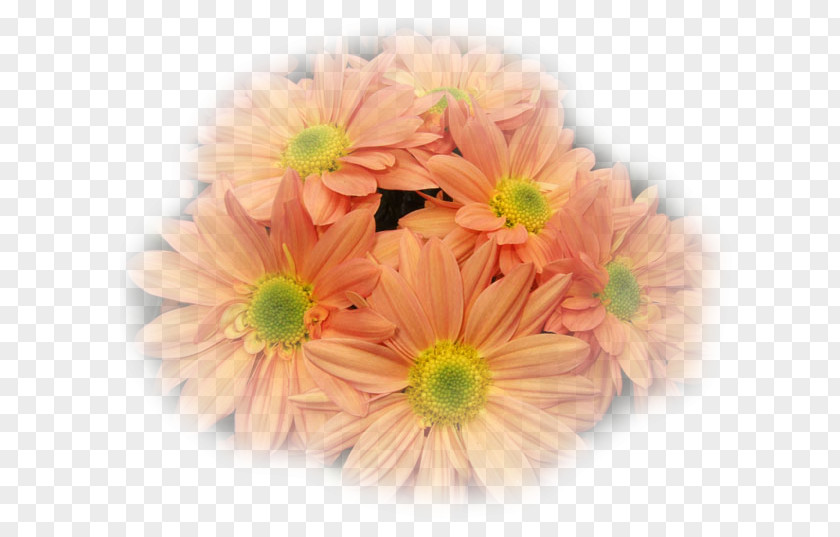 Flower Cut Flowers Floral Design Artificial Bouquet PNG