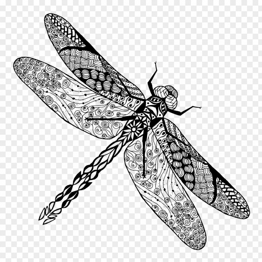 Insect Tattoo Dragonfly Drawing Stock Photography PNG