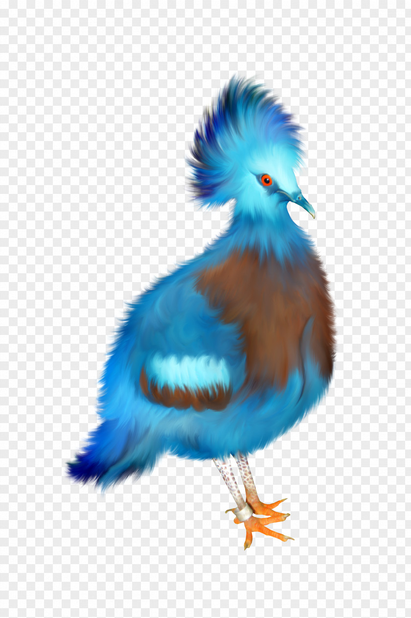 Phoenix Bird Blue PNG