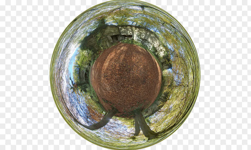 Tree Sphere PNG