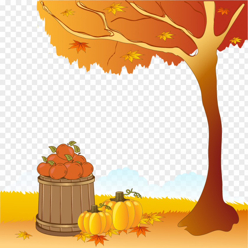 Vector Pumpkin Harvest Autumn Photography Illustration PNG
